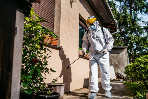 Best Affordable Pest Control Services  in Hampton, TN