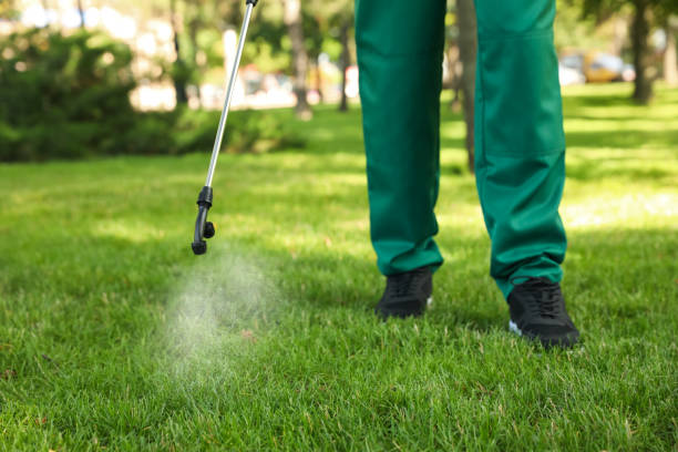 Professional Pest Control in Hampton, TN