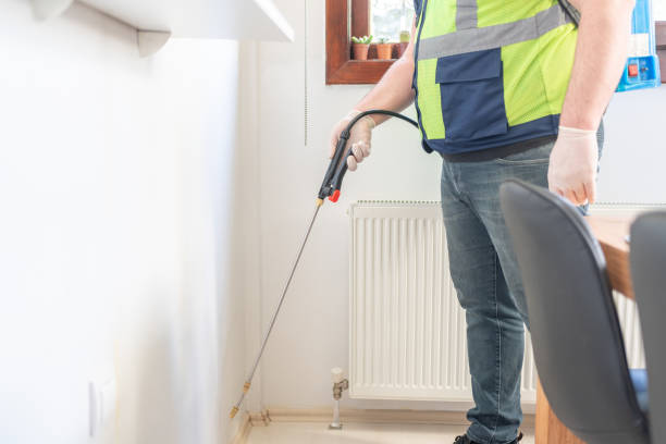 Best Flea Control Services  in Hampton, TN