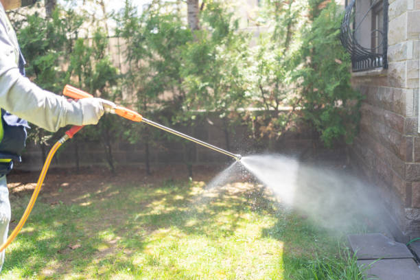 Best Best Pest Control Companies  in Hampton, TN