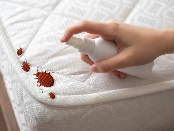  Hampton, TN Pest Control Pros