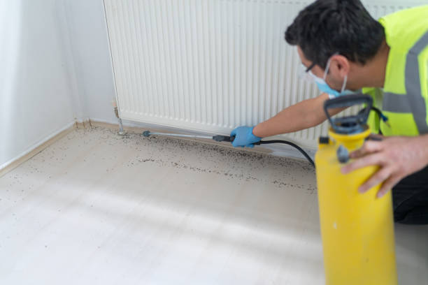 Best Commercial Pest Control Services  in Hampton, TN